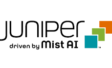 JuniperMist2